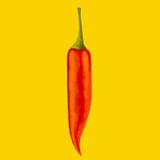 Mirchi - Status And Posts أيقونة