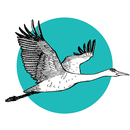 The Crane Pilates APK