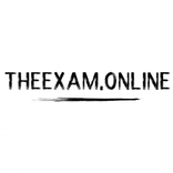 TheExam.online