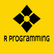 R Programming Language