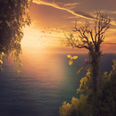 The Beautiful Wife of Whirlwind Marriage APK