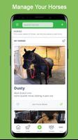 The Equestrian App Affiche