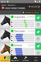 Cheval Courses capture d'écran 2