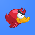 Flappy Duck