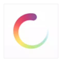 The Flow APK 下載