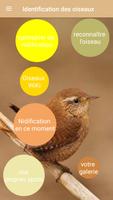 Identification des  oiseaux Affiche