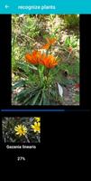 Plant & Flower Identification 스크린샷 1