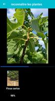 Identification plante & fleur Affiche