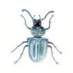 Insect Identification ไอคอน