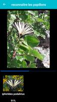 Insect Identification syot layar 2