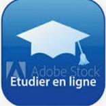 The Freedom to Study