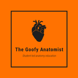 Icona The Goofy Anatomist