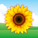 Flowers Name Learning for kids APK