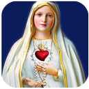 Holy Rosary Guide & Prayers APK