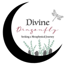 Divine Dragonfly APK