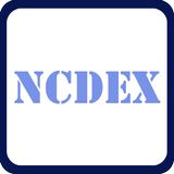 Live NCDEX icône