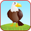 Jeux Apprentissage Bird Sounds