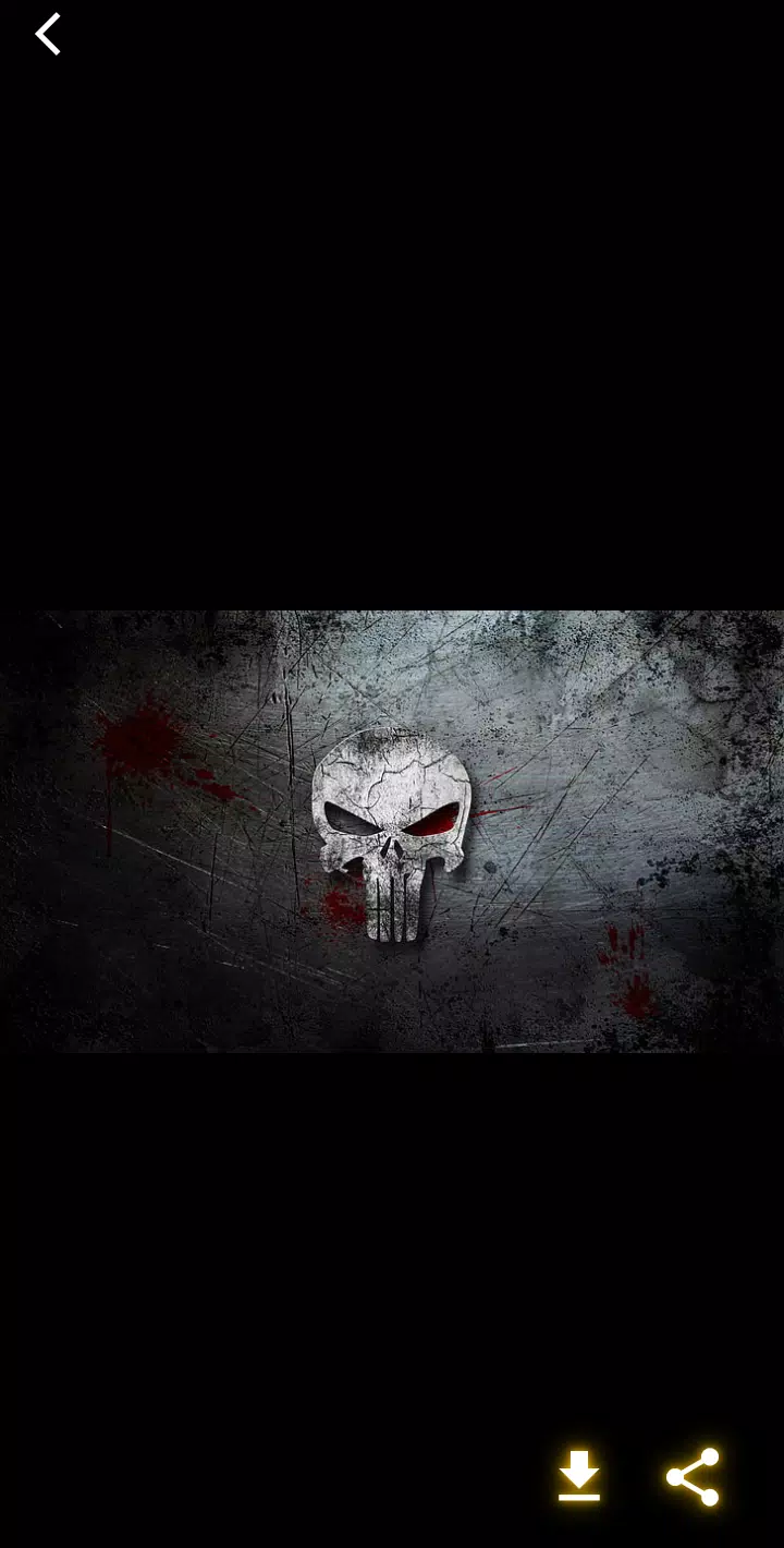 Punisher Wallpaper APK for Android Download
