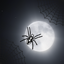 Spider-Web APK