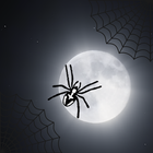 Spider-Web icône