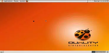 QVD client Beta