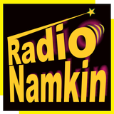 Radio Namkeen- FM Radio Online icône