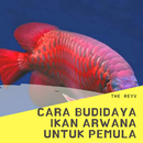 Cara Budidaya Ikan Arwana APK