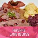 Favorite Lamb Recipes APK