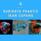 Panduan Praktis Budidaya Ikan Cupang icône