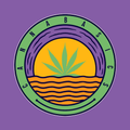 Canna Basics