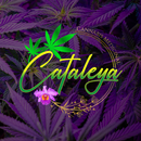Cataleya APK