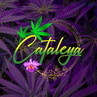 Cataleya-icoon