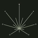 Curana APK
