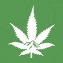 Rocky Mountain Cannabis APK