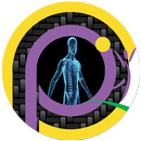 جسم الإنسان-اسرار وخفايا APK