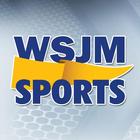 WSJM Sports أيقونة