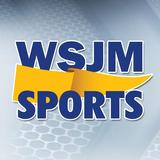 WSJM Sports icon