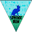 Spinx Run