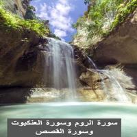 جزء يس المصحف المعلم المنشاوي पोस्टर