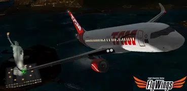 Flight Simulator Night - Fly O