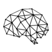 Unique Brains