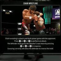 Fight Forever : WWE plakat