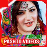 Pashto Song, Drama, Naat, Film