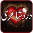 urdu shairy book