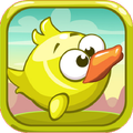 Flying Color Bird