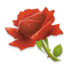 Rose Gif ikona