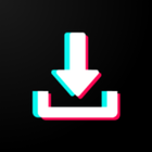 TikTok Video Downloader 图标