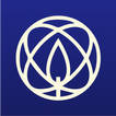 Chabad Plus
