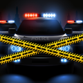 Police Catch A Thief Car