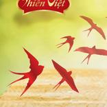 AMS Yen Thien Viet